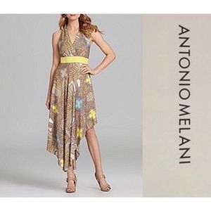 antonio melani lourdes asymmetrical maxi dress